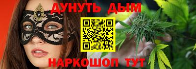 сатива Краснодар
