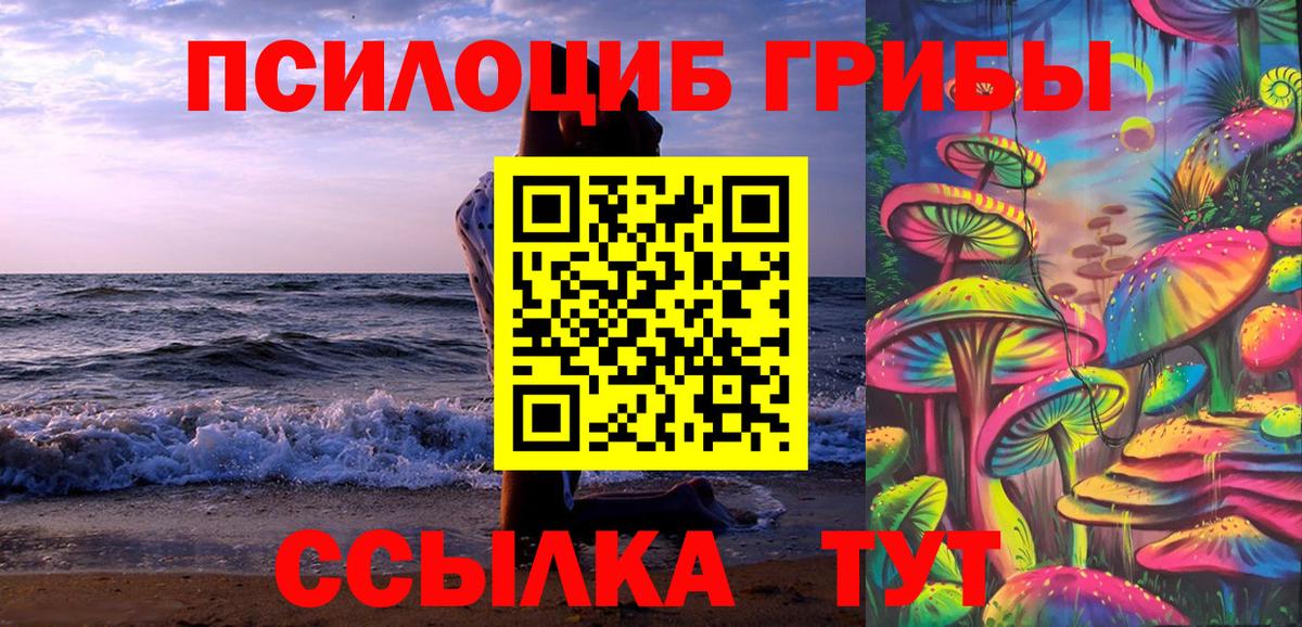 Псилоцибиновые грибы Psilocybe Карталы