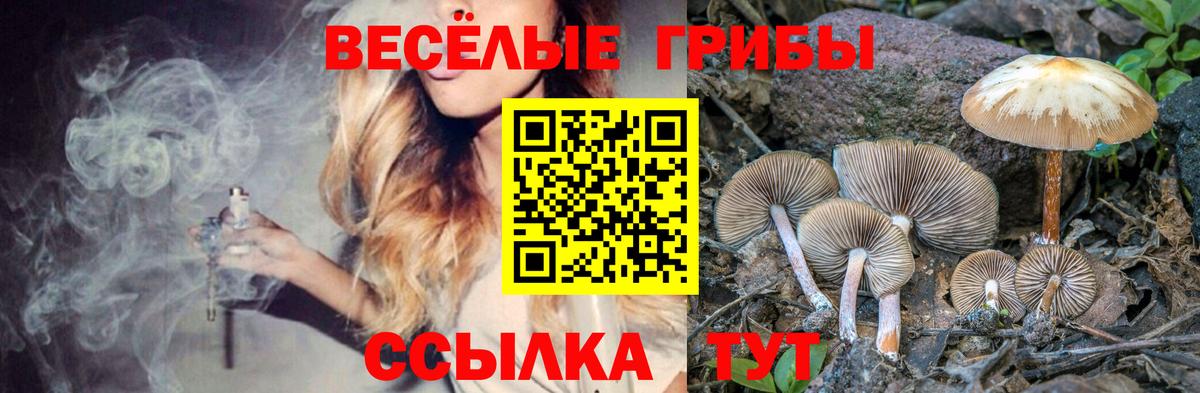 Карталы  наркота  Вход с VPN  Псилоцибиновые грибы Psilocybine cubensis  Псилоцибиновые грибы ЛСД 